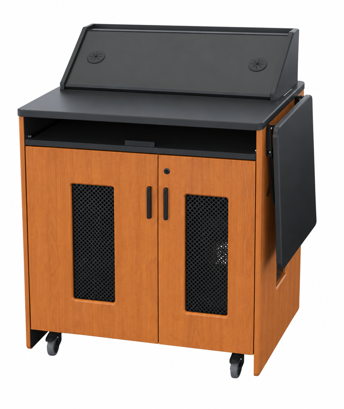AVFI Multimedia Mobile Instructor Station - PD51