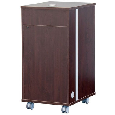AVFI RKYZ21 21U Mobile AV Cabinet back view