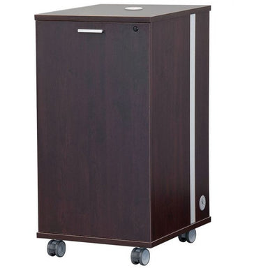 AVFI RKYZ21 21U Mobile AV Cabinet front view