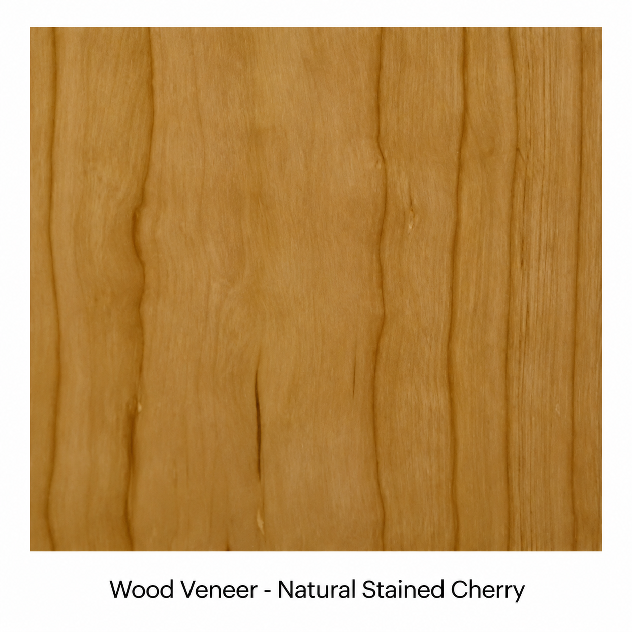 Sound-Craft The Advisor XL Customizable Hardwood Lectern - ML36