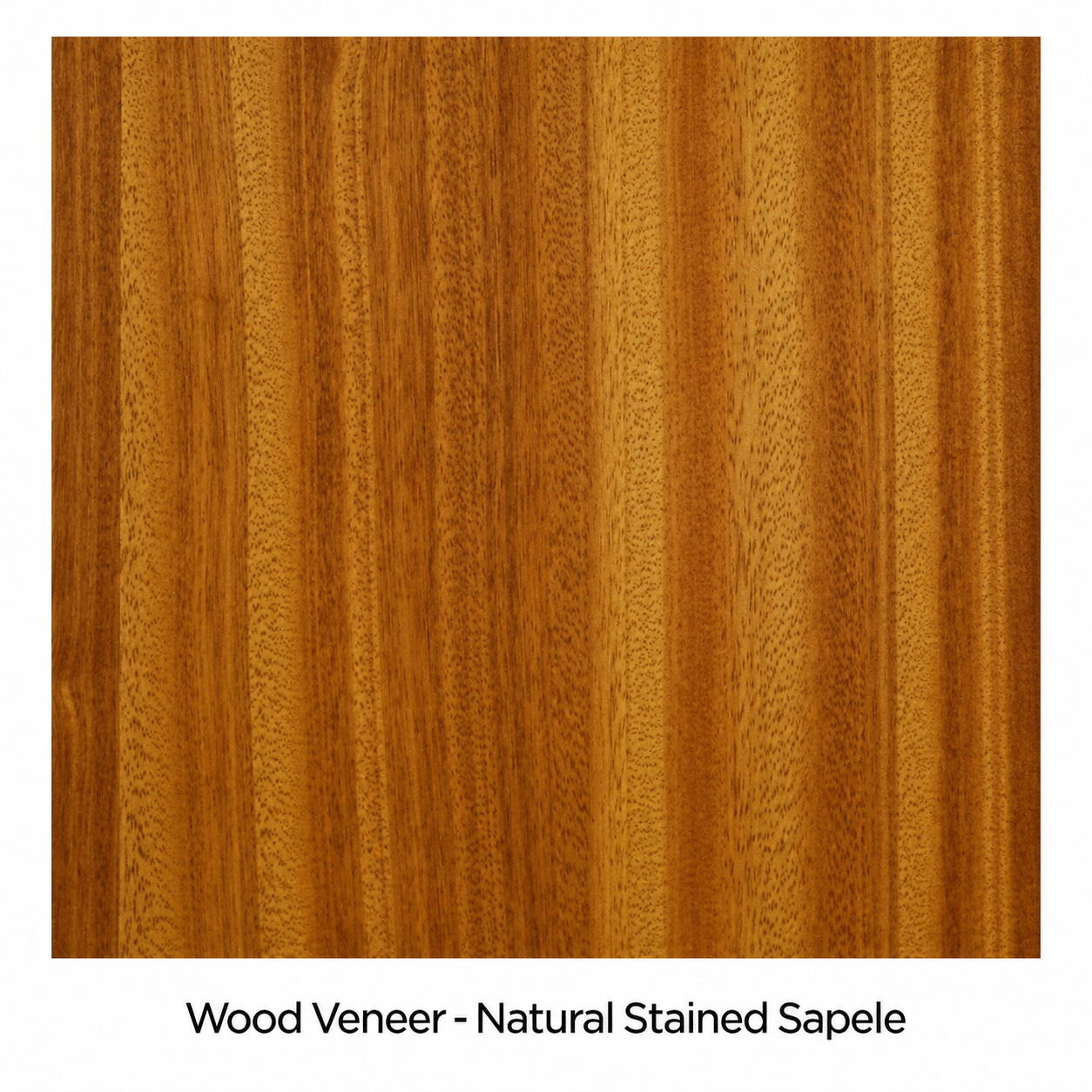 Sound-Craft The Advisor XL Customizable Hardwood Lectern - ML36