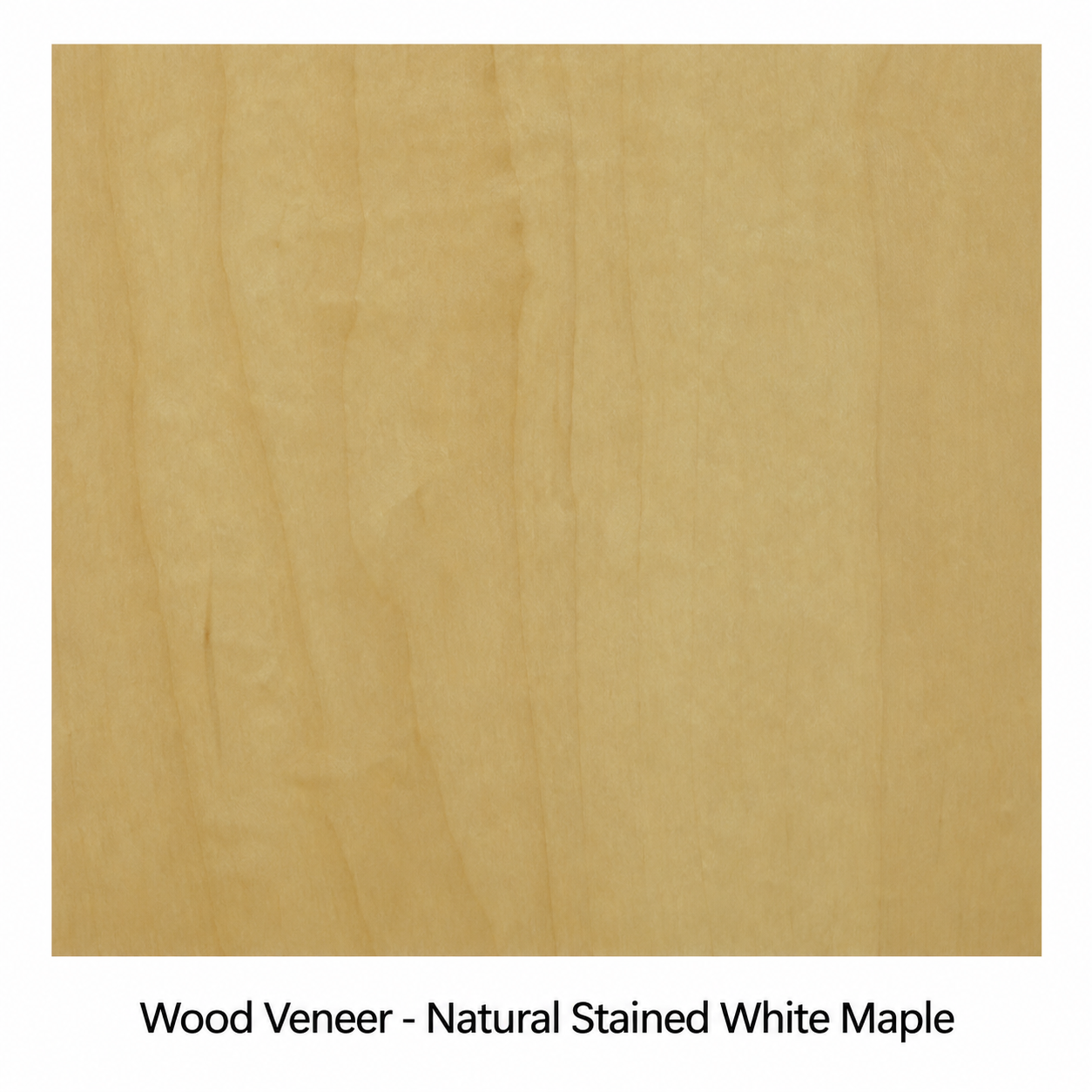 Sound-Craft The Advisor XL Customizable Hardwood Lectern - ML36