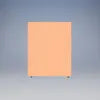 Sound-Craft The Ideal ADA-Compliant Multimedia Sit-Stand Desk - WSV50